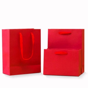 Paper gift bags with handles